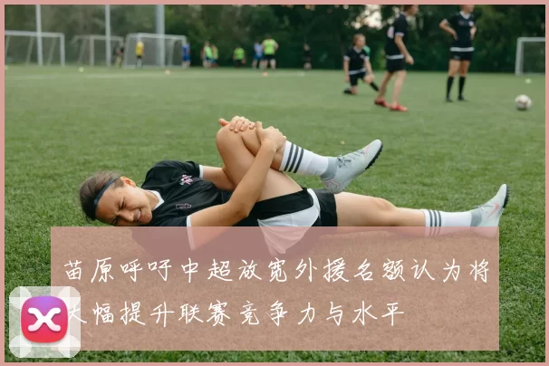 苗原呼吁中超放宽外援名额认为将大幅提升联赛竞争力与水平