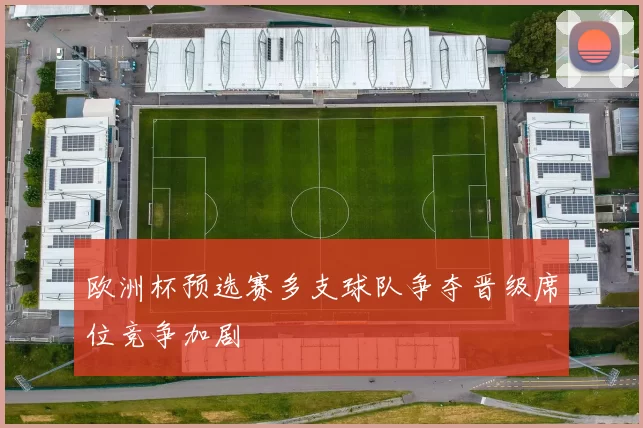 欧洲杯预选赛多支球队争夺晋级席位竞争加剧