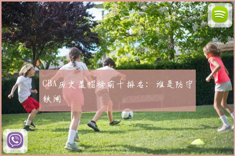 CBA历史盖帽榜前十排名：谁是防守铁闸