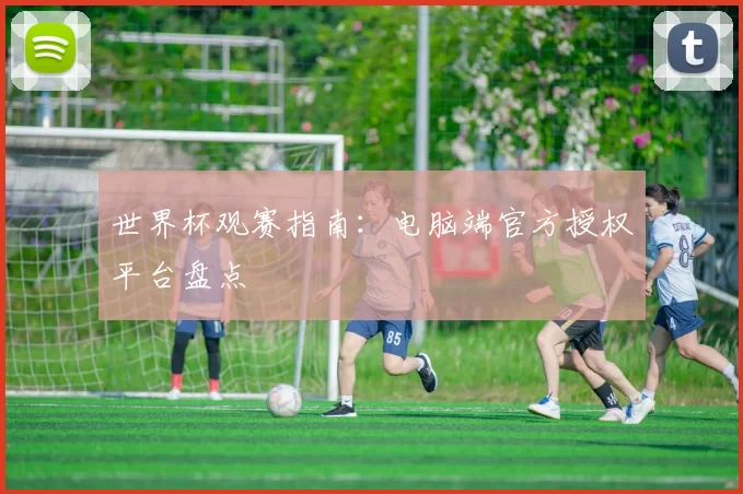 世界杯观赛指南:电脑端官方授权平台盘点
