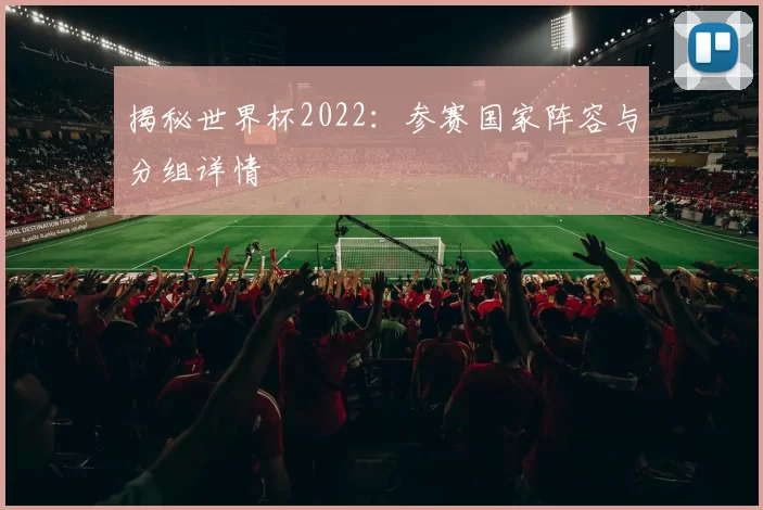 揭秘世界杯2022:参赛国家阵容与分组详情