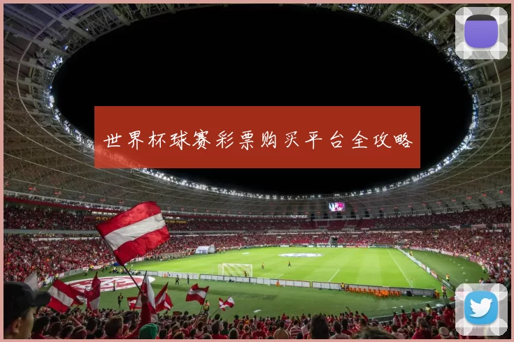 世界杯球赛彩票购买平台全攻略