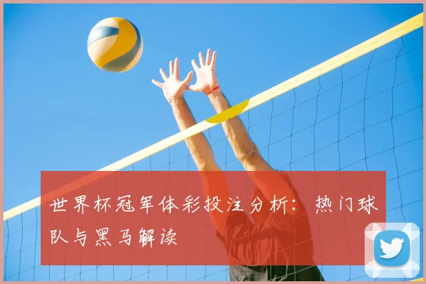 世界杯冠军体彩投注分析:热门球队与黑马解读