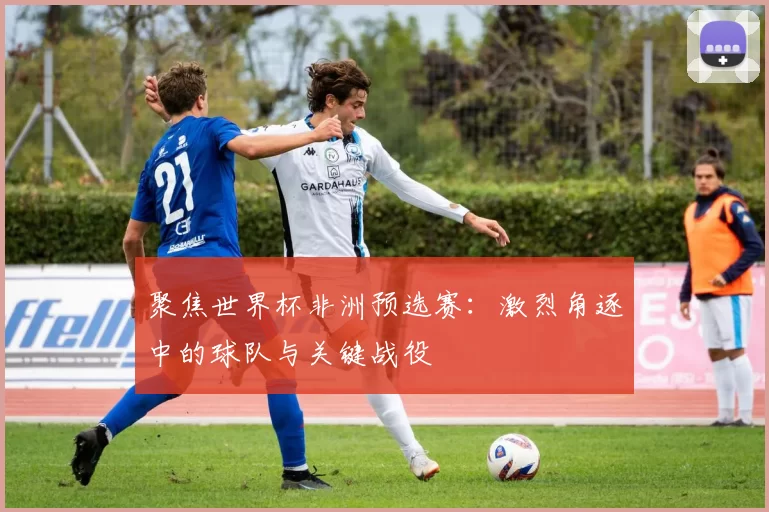 聚焦世界杯非洲预选赛：激烈角逐中的球队与关键战役
