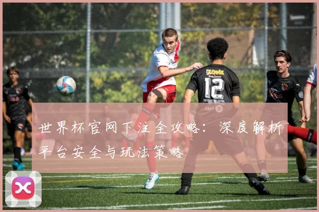 世界杯官网下注全攻略:深度解析平台安全与玩法策略