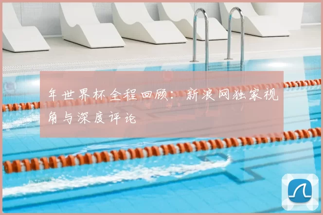 年世界杯全程回顾：新浪网独家视角与深度评论
