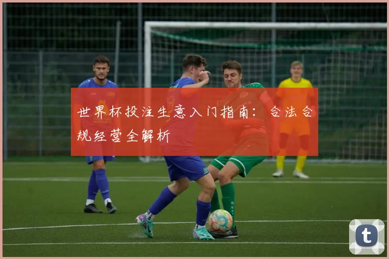 世界杯投注生意入门指南：合法合规经营全解析
