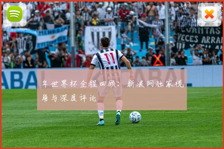 年世界杯全程回顾：新浪网独家视角与深度评论