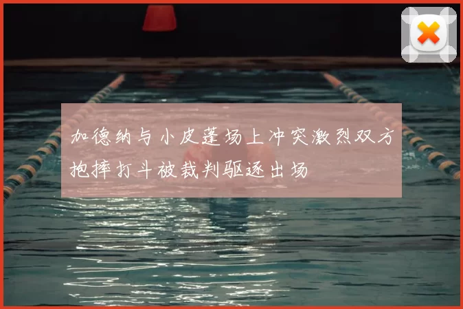 加德纳与小皮蓬场上冲突激烈双方抱摔打斗被裁判驱逐出场