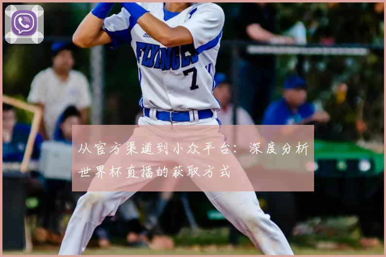 从官方渠道到小众平台：深度分析世界杯直播的获取方式