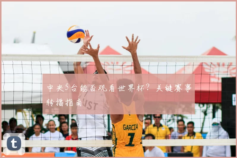 中央5台能否观看世界杯？关键赛事转播指南