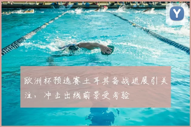 欧洲杯预选赛土耳其备战进展引关注，冲击出线前景受考验