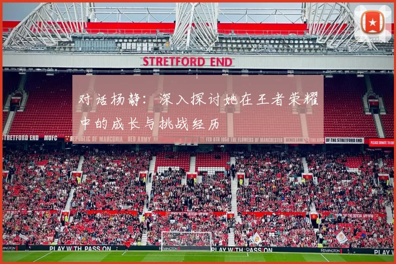 对话杨静:深入探讨她在王者荣耀中的成长与挑战经历
